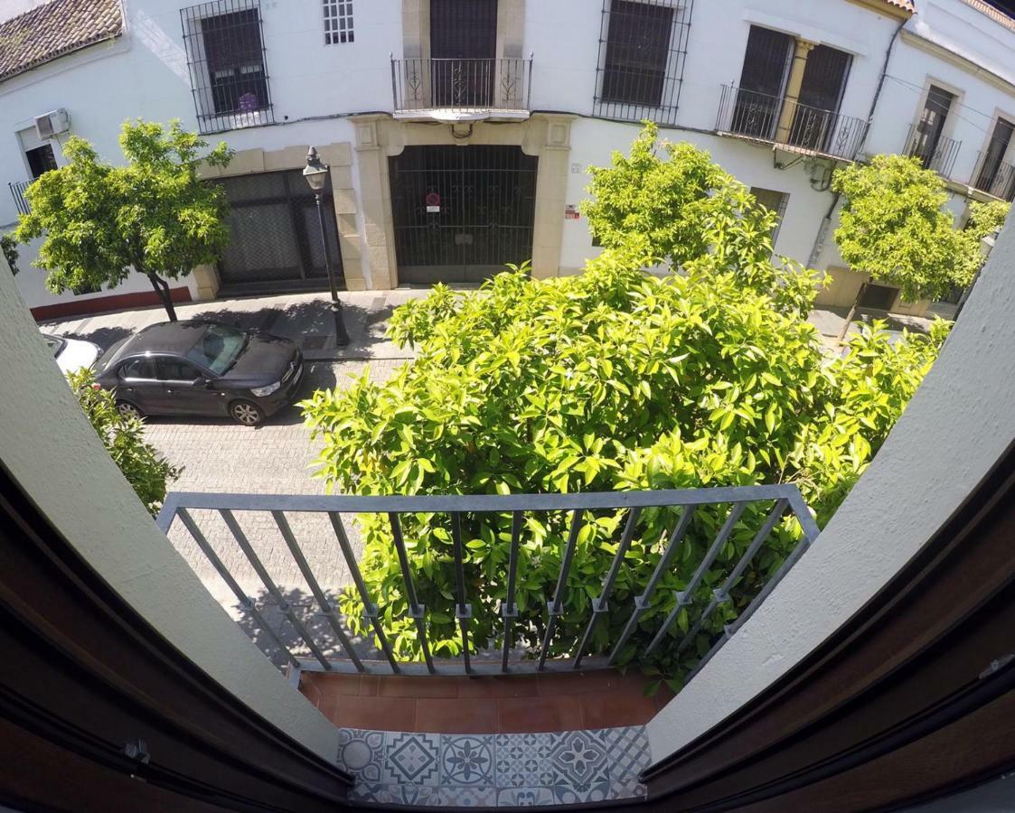 Apartmán Urban Chic Center Santa Marina Córdoba Exteriér fotografie